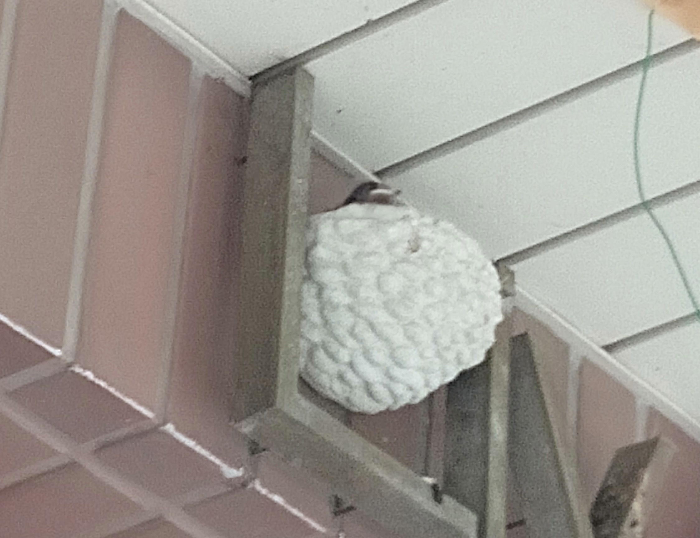 令和2年8月の夏季休業について